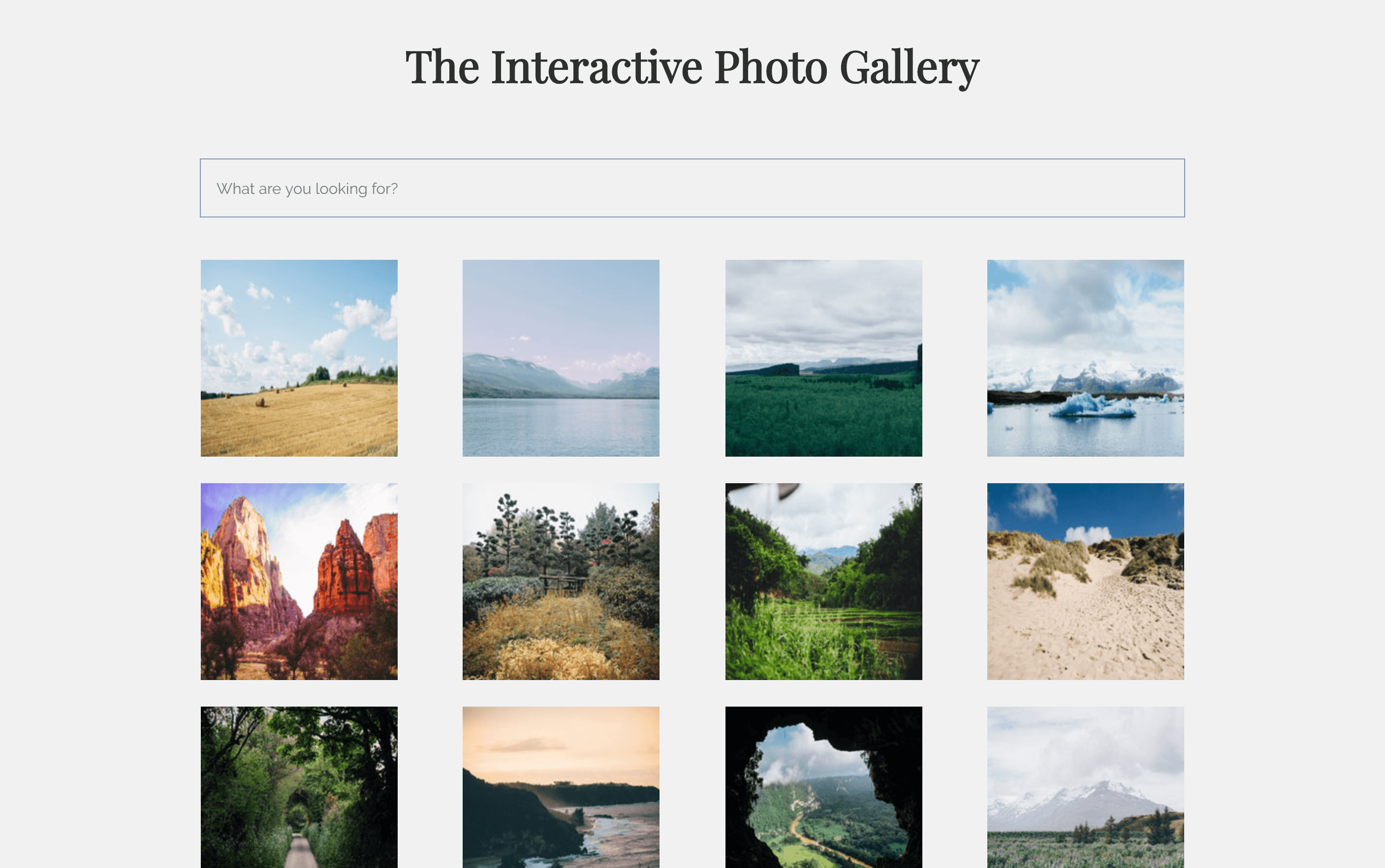A photo gallery grid of images